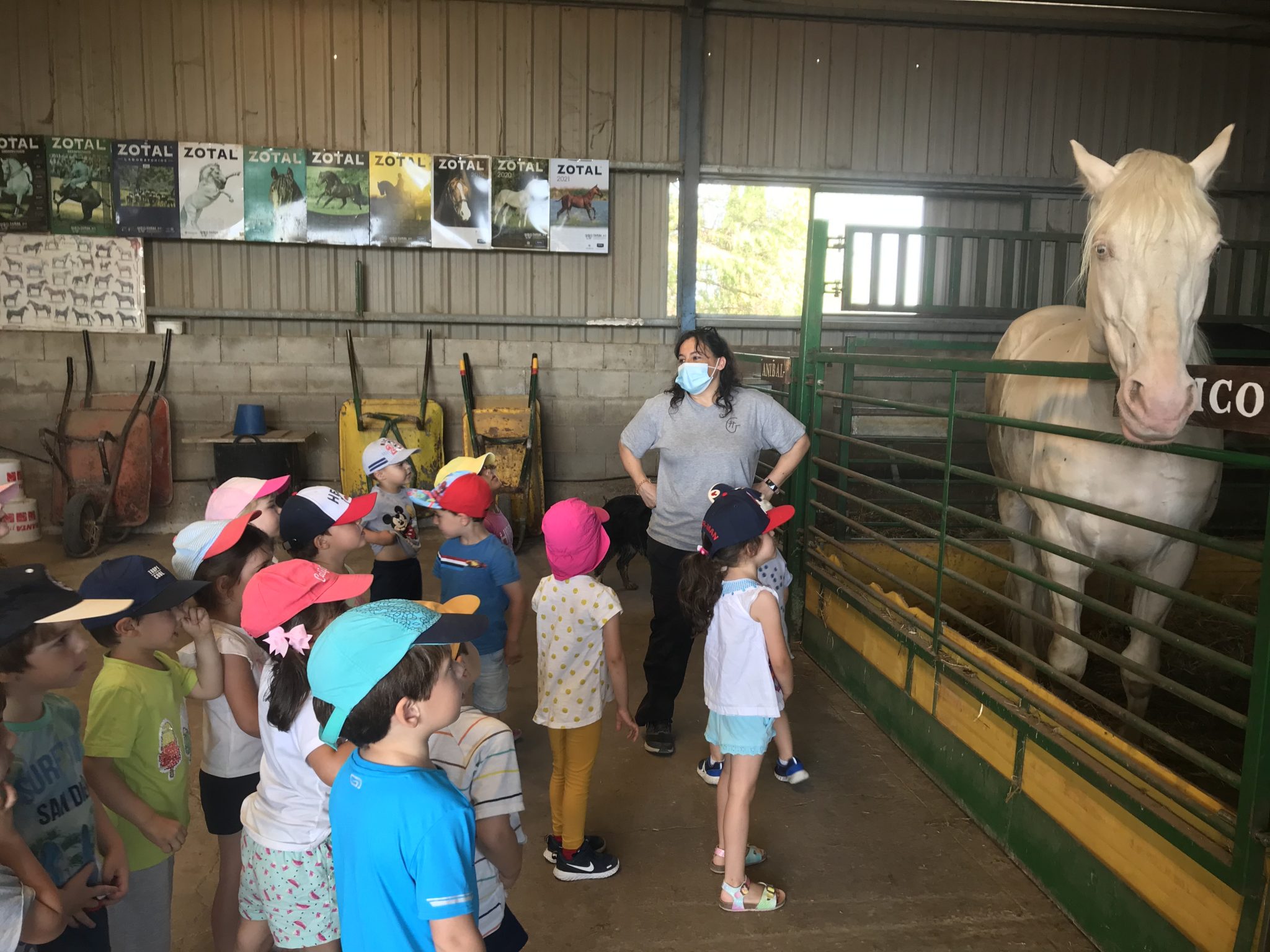 1ºC en la Granja escuela infantilromareda